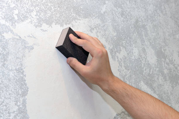 Best Water Damage & Mold Remediation  in Lake City, MN