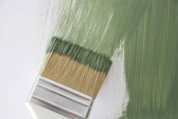 Professional Mold Removal in Lake City, MN