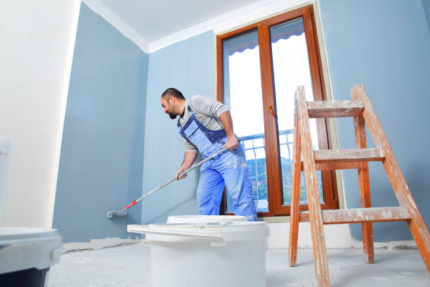 Best Attic Mold Removal  in Lake City, MN
