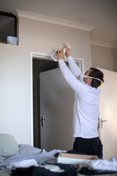 Best Mold Prevention Services  in Lake City, MN