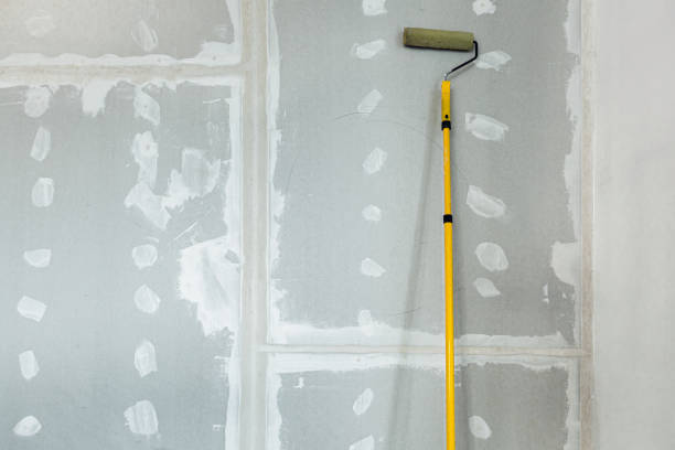 Best Mold Odor Removal Services  in Lake City, MN