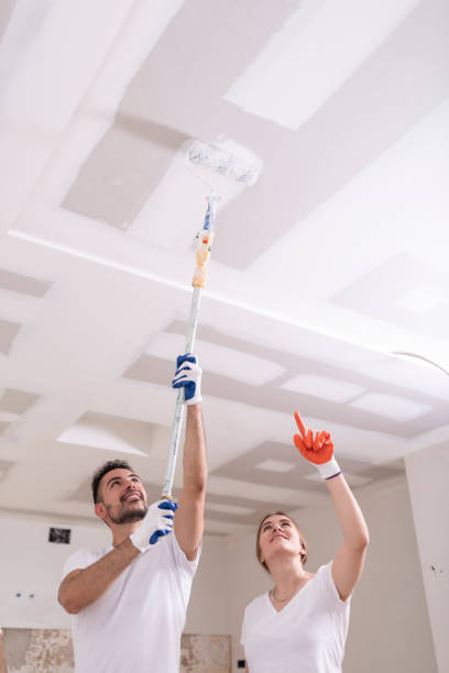 Best Mold Damage Restoration  in Lake City, MN