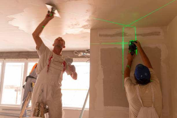 Best Airborne Mold Testing  in Lake City, MN