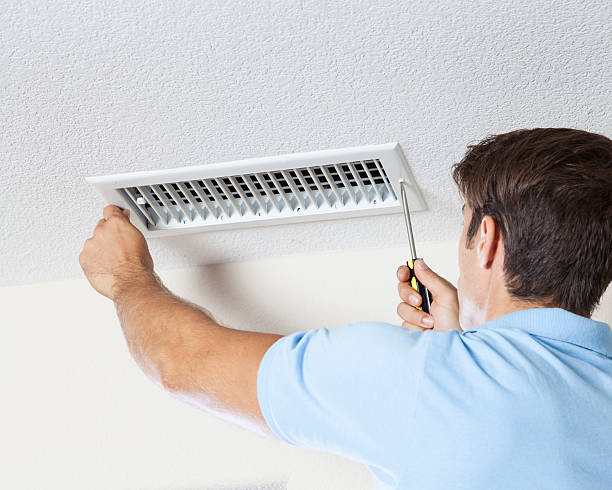 Best Basement Mold Removal  in Lake City, MN