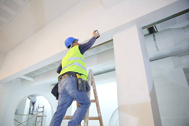 Best Mold Removal for HVAC Installations  in Lake City, MN